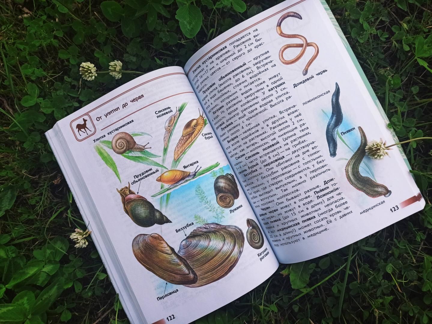 Плешаков (Школа России) Атлас От земли до неба новый ФГОС. (Просв.)